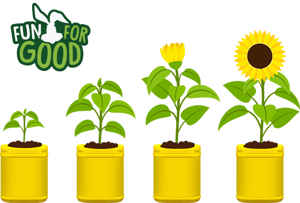 Plant Plant